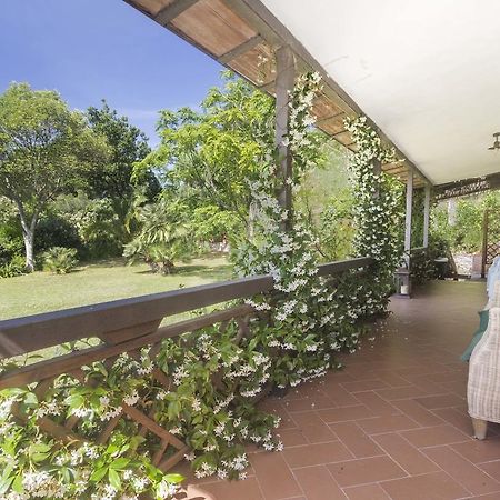 Villa Monserrato - Goelba Porto Azzurro Exterior foto